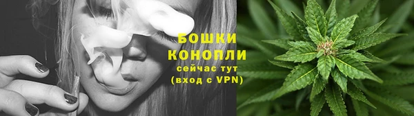 МДПВ Медногорск