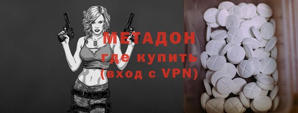 прущие грибы Тавда