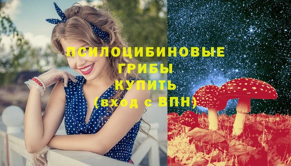МДПВ Медногорск