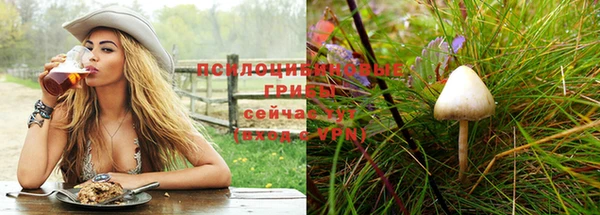 Альфа ПВП Мегион
