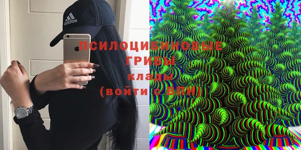 МДПВ Медногорск