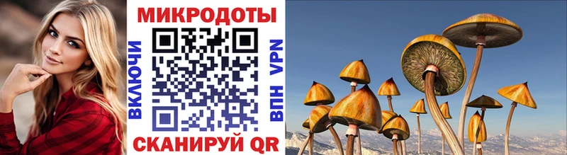 Псилоцибиновые грибы GOLDEN TEACHER  Магас 